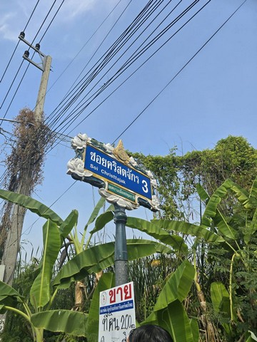 ขาย บ้านเดี่ยว rightintheheartofSukhumvit บ้านเดี่ยวหรู2ชั้นพร้อมสระว่ายน้ำสุขุมวิท Luxury-detached-house-for-sale, Luxury-detached-house-for-sale, in-Sukhumvit71,SoiPridiBanomyong26