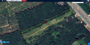 ที่ดิน ขาย ที่ดินพัทลุงราคาถูก พร้อมไฟฟ้าน้ำประปา ที่ดินป่าบอนถูกกว่าใกล้เคียง อสังหาพัทลุงราคาคุ้มสุด ติดถนนเพชรเกษม